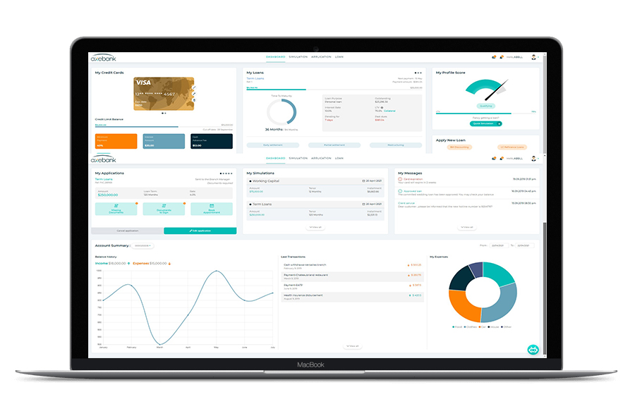 screenshot of Axe Credit Portal